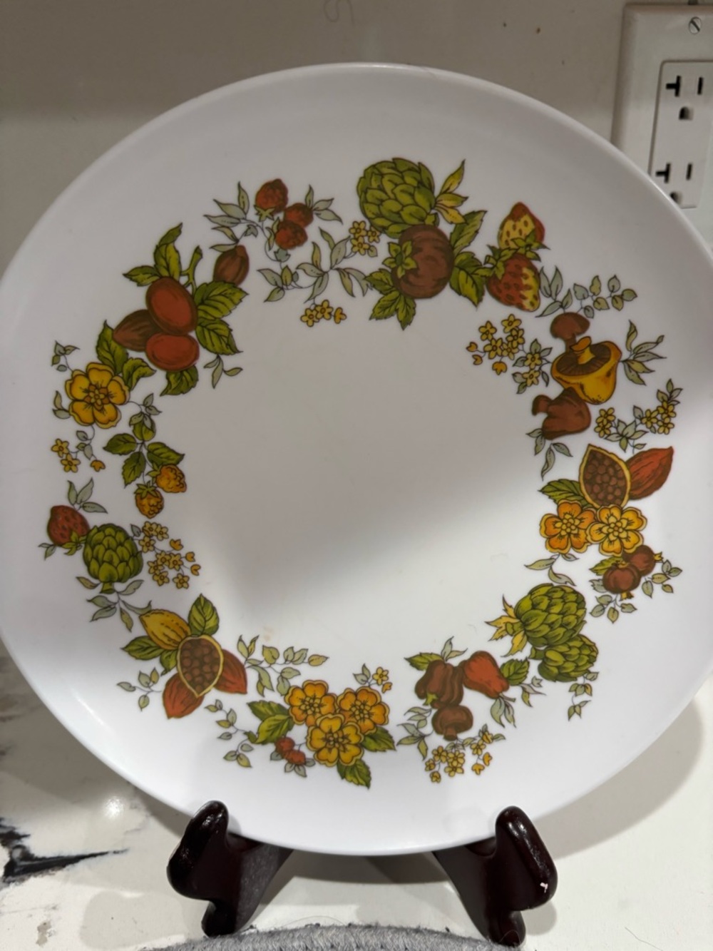 Vintage melamine spice of life 9 inch plates